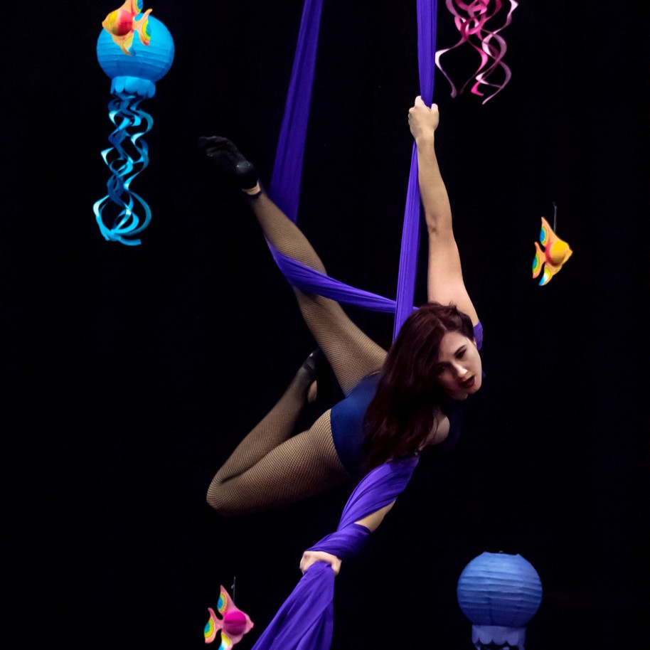 Bee performs on the aerial silks